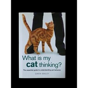 What Is My Cat Thinking? (HARDCOVER)